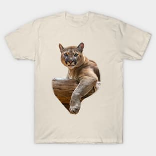 I am not amused Cougar T-Shirt